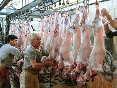 «Ναι» της Κατ. Μπατζελή για συνεταιριστικό σφαγείο στην Ελασσόνα